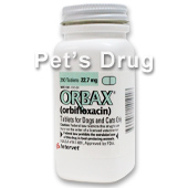 犬 猫用抗生物質 オーバックス Orbax 22 7mg Pet S Drug